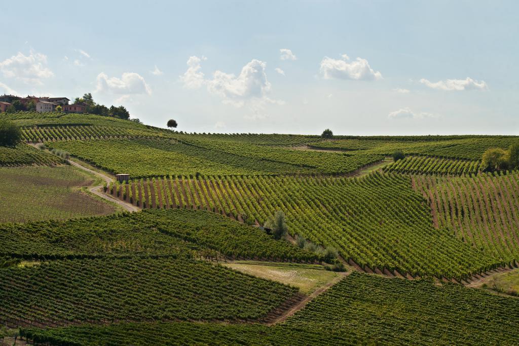 Il Poggio B&B San Damiano al Colle Zewnętrze zdjęcie